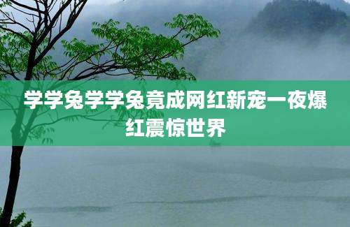 学学兔学学兔竟成网红新宠一夜爆红震惊世界