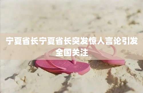 宁夏省长宁夏省长突发惊人言论引发全国关注