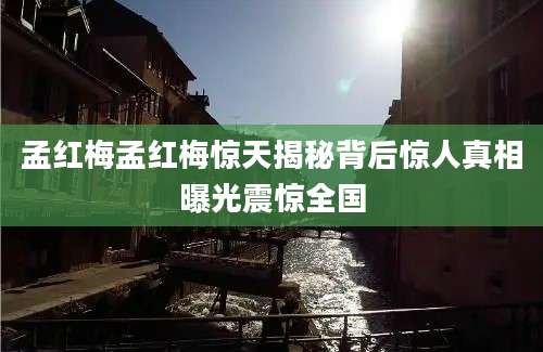孟红梅孟红梅惊天揭秘背后惊人真相曝光震惊全国