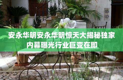 安永华明安永华明惊天大揭秘独家内幕曝光行业巨变在即