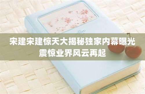 宋建宋建惊天大揭秘独家内幕曝光震惊业界风云再起