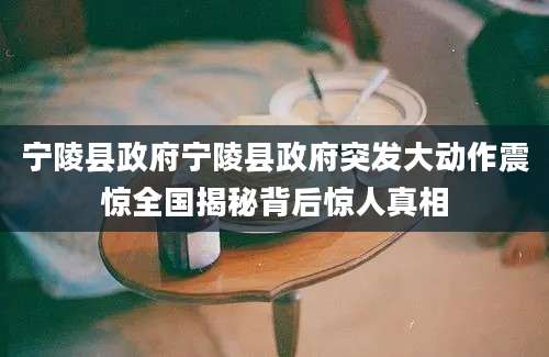 宁陵县政府宁陵县政府突发大动作震惊全国揭秘背后惊人真相