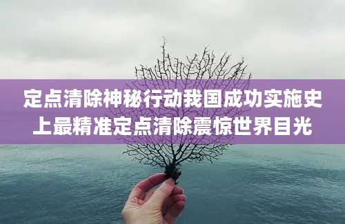 定点清除神秘行动我国成功实施史上最精准定点清除震惊世界目光