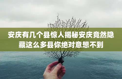 安庆有几个县惊人揭秘安庆竟然隐藏这么多县你绝对意想不到