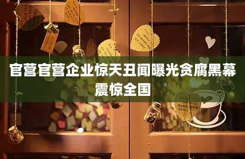 官营官营企业惊天丑闻曝光贪腐黑幕震惊全国