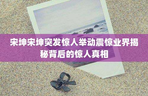 宋坤宋坤突发惊人举动震惊业界揭秘背后的惊人真相