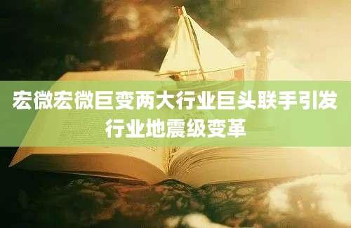 宏微宏微巨变两大行业巨头联手引发行业地震级变革