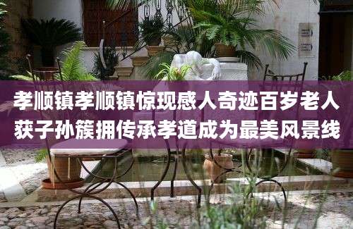 孝顺镇孝顺镇惊现感人奇迹百岁老人获子孙簇拥传承孝道成为最美风景线