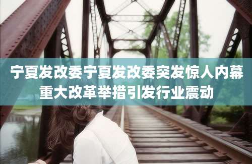 宁夏发改委宁夏发改委突发惊人内幕重大改革举措引发行业震动