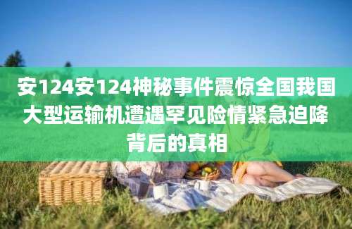 安124安124神秘事件震惊全国我国大型运输机遭遇罕见险情紧急迫降背后的真相