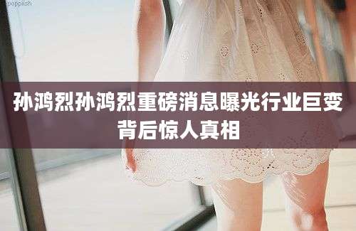 孙鸿烈孙鸿烈重磅消息曝光行业巨变背后惊人真相