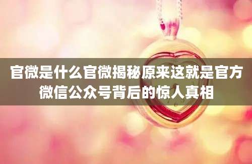 官微是什么官微揭秘原来这就是官方微信公众号背后的惊人真相