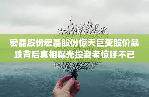 宏磊股份宏磊股份惊天巨变股价暴跌背后真相曝光投资者惊呼不已