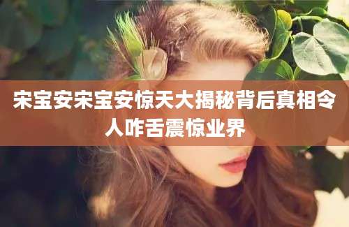 宋宝安宋宝安惊天大揭秘背后真相令人咋舌震惊业界