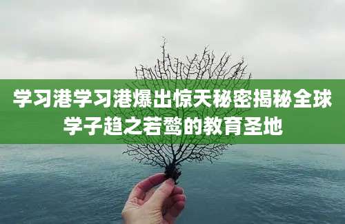学习港学习港爆出惊天秘密揭秘全球学子趋之若鹜的教育圣地