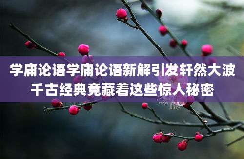 学庸论语学庸论语新解引发轩然大波千古经典竟藏着这些惊人秘密