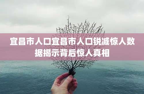 宜昌市人口宜昌市人口锐减惊人数据揭示背后惊人真相
