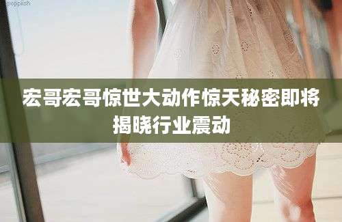 宏哥宏哥惊世大动作惊天秘密即将揭晓行业震动