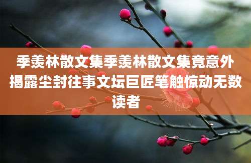 季羡林散文集季羡林散文集竟意外揭露尘封往事文坛巨匠笔触惊动无数读者