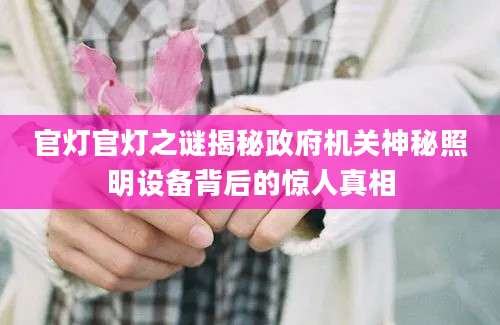 官灯官灯之谜揭秘政府机关神秘照明设备背后的惊人真相
