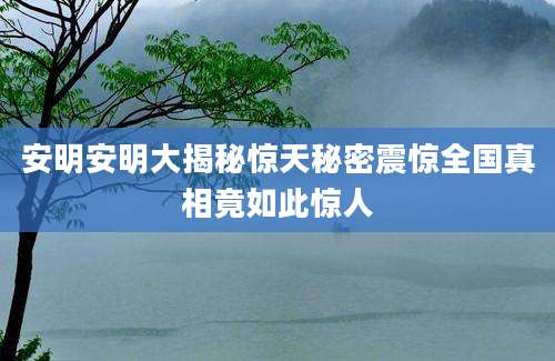 安明安明大揭秘惊天秘密震惊全国真相竟如此惊人