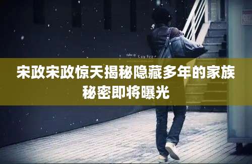宋政宋政惊天揭秘隐藏多年的家族秘密即将曝光