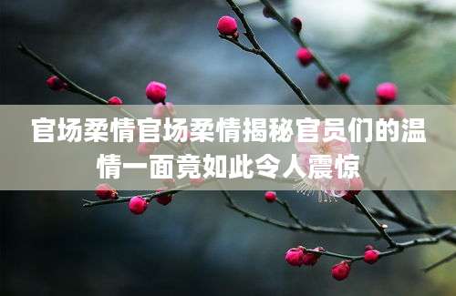 官场柔情官场柔情揭秘官员们的温情一面竟如此令人震惊