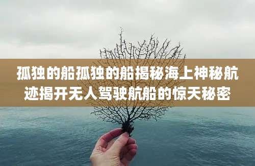 孤独的船孤独的船揭秘海上神秘航迹揭开无人驾驶航船的惊天秘密