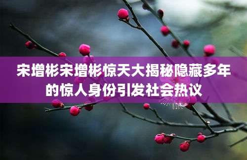 宋增彬宋增彬惊天大揭秘隐藏多年的惊人身份引发社会热议