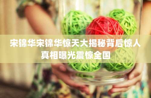 宋锦华宋锦华惊天大揭秘背后惊人真相曝光震惊全国