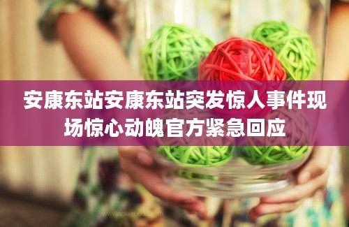 安康东站安康东站突发惊人事件现场惊心动魄官方紧急回应