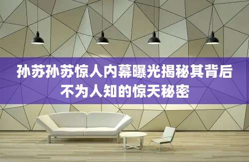 孙苏孙苏惊人内幕曝光揭秘其背后不为人知的惊天秘密