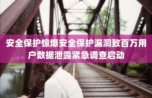 安全保护惊爆安全保护漏洞致百万用户数据泄露紧急调查启动