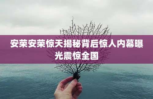 安荣安荣惊天揭秘背后惊人内幕曝光震惊全国