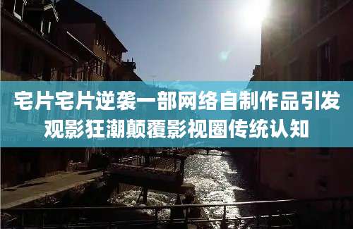 宅片宅片逆袭一部网络自制作品引发观影狂潮颠覆影视圈传统认知