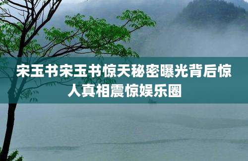 宋玉书宋玉书惊天秘密曝光背后惊人真相震惊娱乐圈