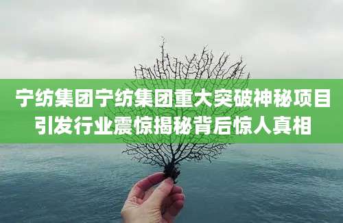 宁纺集团宁纺集团重大突破神秘项目引发行业震惊揭秘背后惊人真相