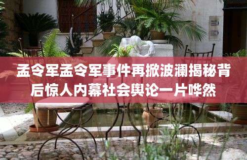 孟令军孟令军事件再掀波澜揭秘背后惊人内幕社会舆论一片哗然