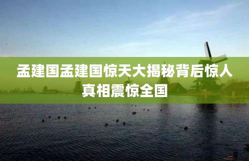 孟建国孟建国惊天大揭秘背后惊人真相震惊全国