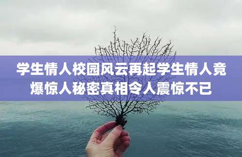 学生情人校园风云再起学生情人竟爆惊人秘密真相令人震惊不已