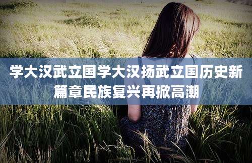 学大汉武立国学大汉扬武立国历史新篇章民族复兴再掀高潮