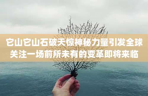 它山它山石破天惊神秘力量引发全球关注一场前所未有的变革即将来临