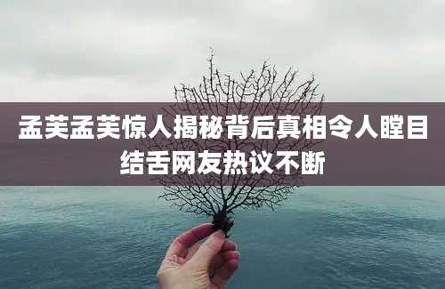 孟芙孟芙惊人揭秘背后真相令人瞠目结舌网友热议不断