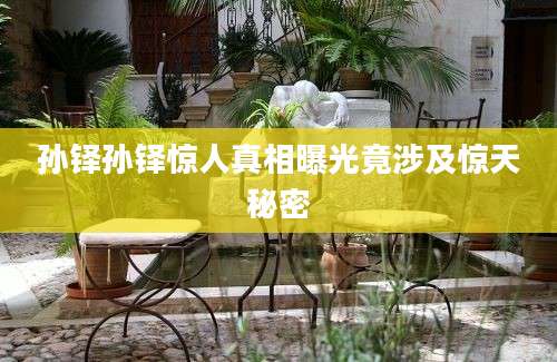 孙铎孙铎惊人真相曝光竟涉及惊天秘密