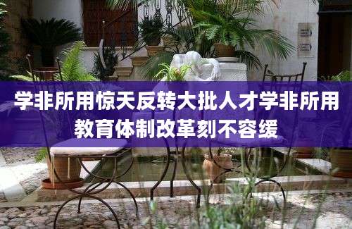 学非所用惊天反转大批人才学非所用教育体制改革刻不容缓