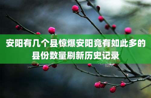 安阳有几个县惊爆安阳竟有如此多的县份数量刷新历史记录