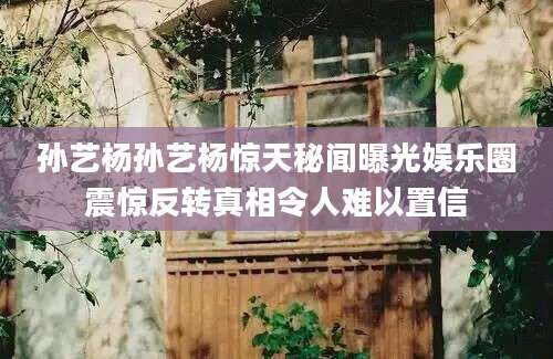 孙艺杨孙艺杨惊天秘闻曝光娱乐圈震惊反转真相令人难以置信