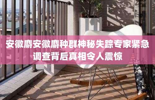 安徽麝安徽麝种群神秘失踪专家紧急调查背后真相令人震惊