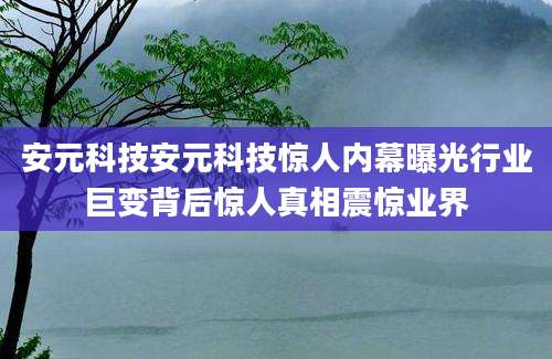 安元科技安元科技惊人内幕曝光行业巨变背后惊人真相震惊业界