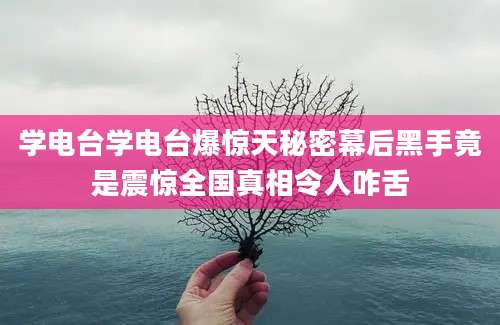 学电台学电台爆惊天秘密幕后黑手竟是震惊全国真相令人咋舌